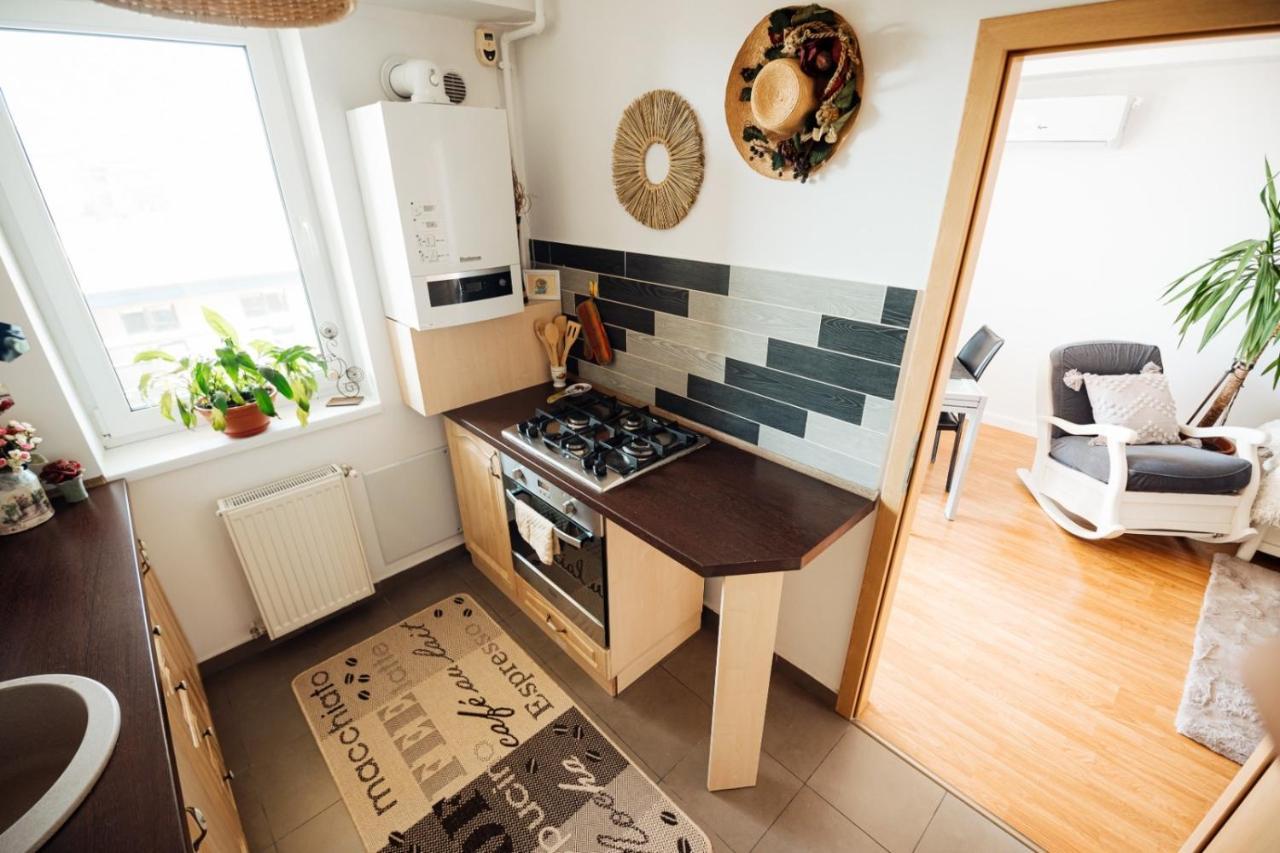 By The Lake Apartment Cluj-Napoca Extérieur photo