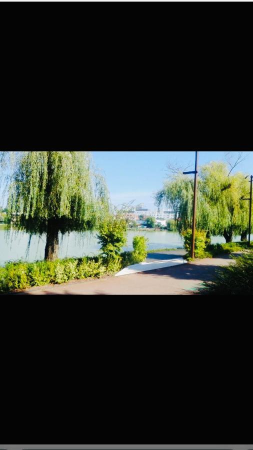 By The Lake Apartment Cluj-Napoca Extérieur photo